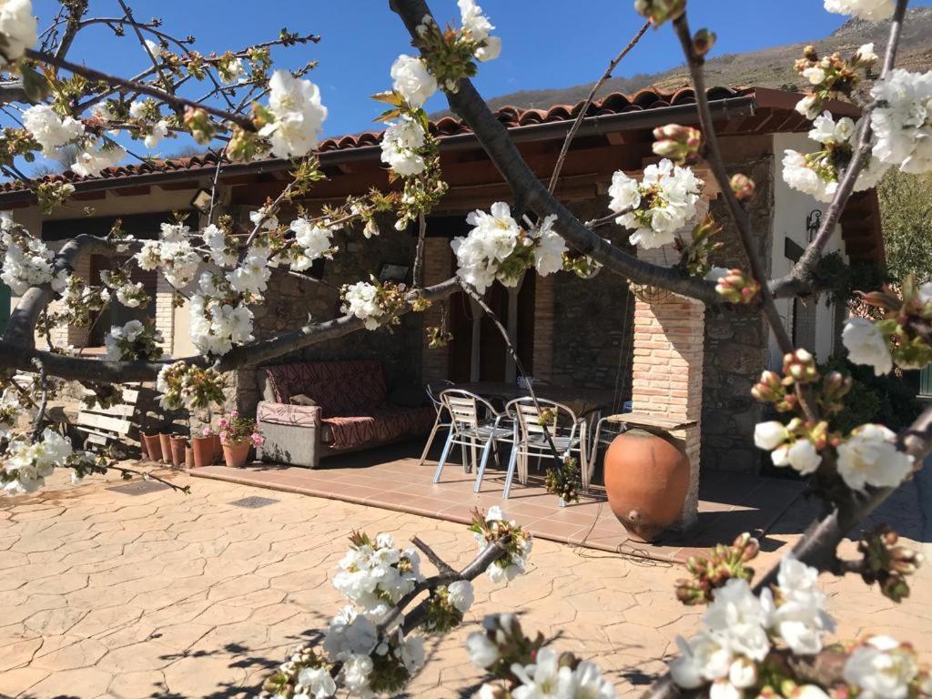Casa Rural La Picotina Наваконсехо Экстерьер фото