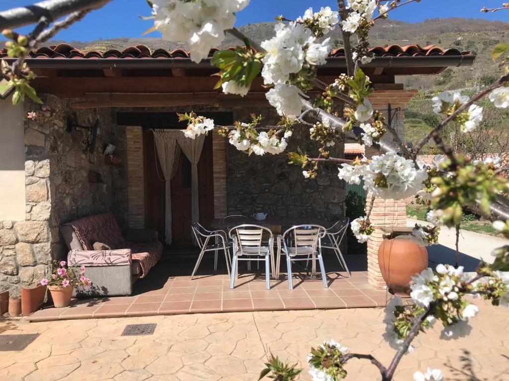 Casa Rural La Picotina Наваконсехо Экстерьер фото